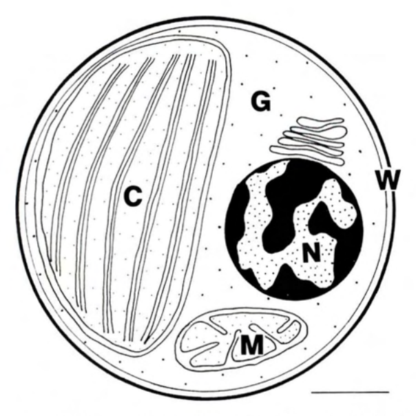 Figure 8