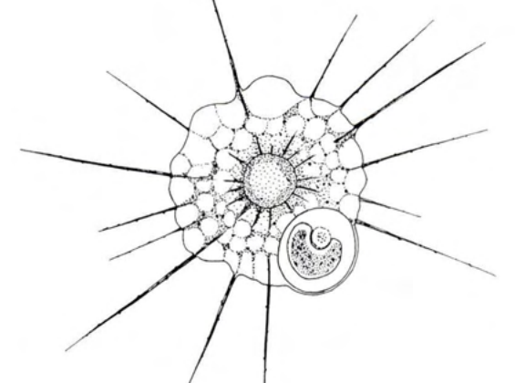 Figure 15