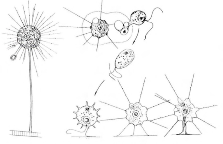 Figure 17