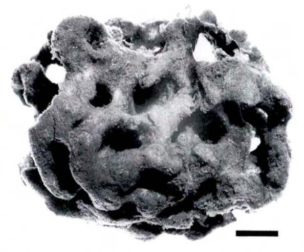 Figure 16