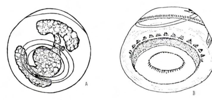 Figure 44