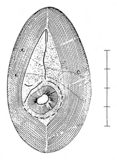 Figure 49