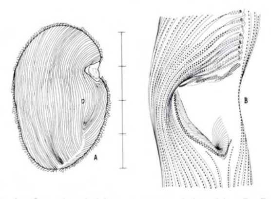 Figure 60