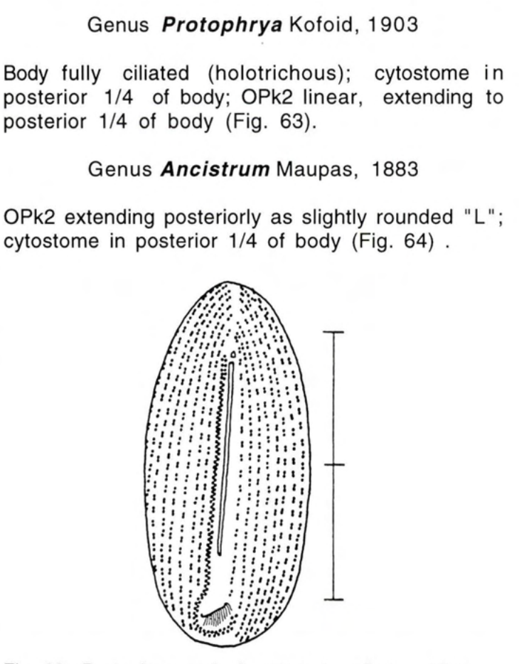 Figure 63