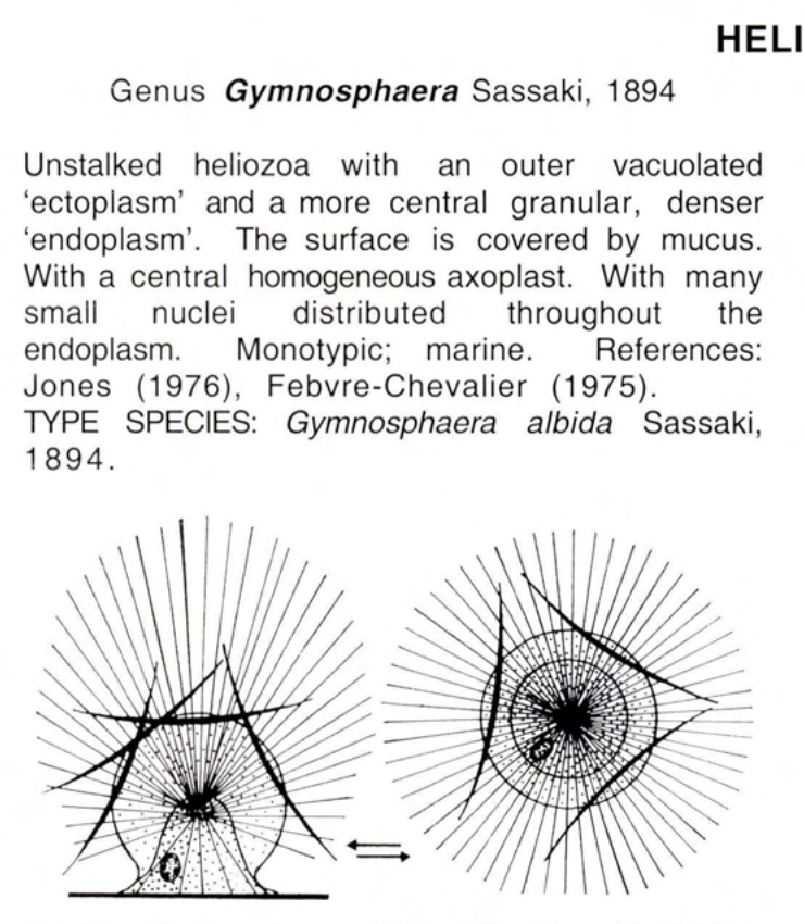 Figure 22