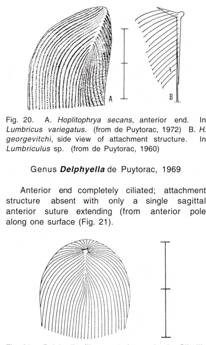 Figure 21