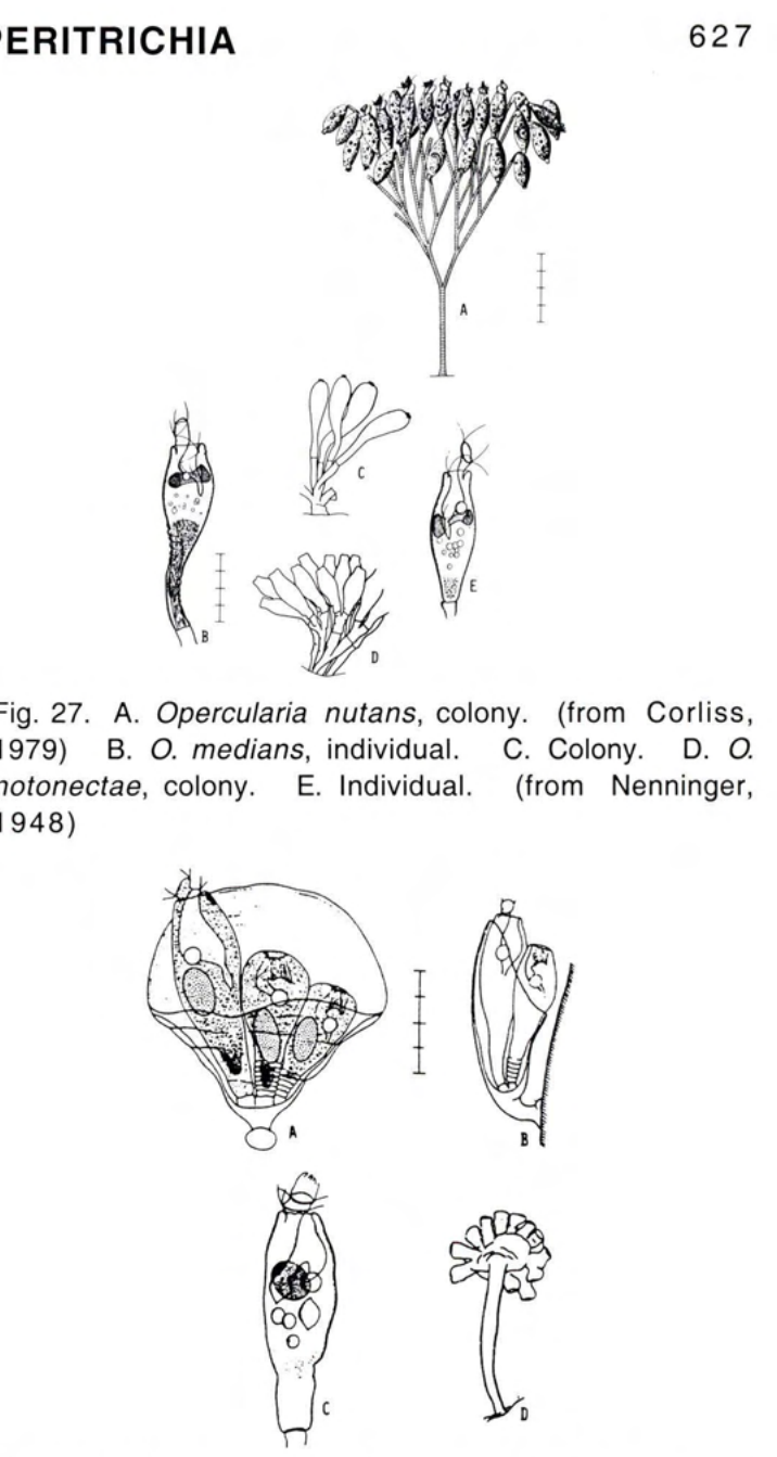 Figure 28