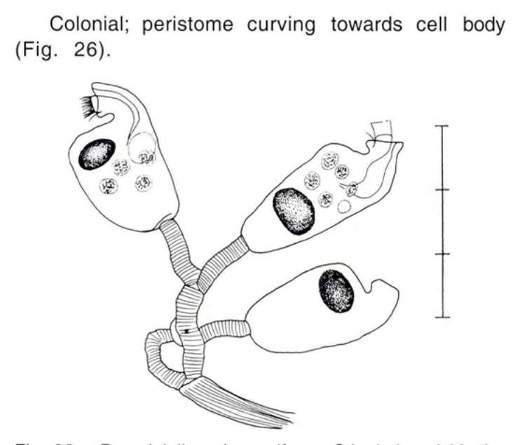 Figure 26