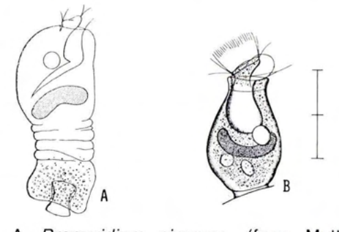 Figure 29