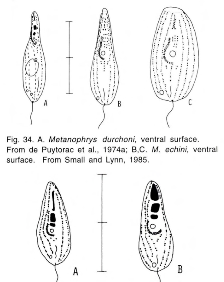 Figure 35
