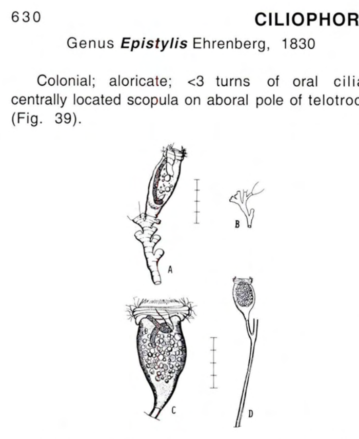 Figure 37
