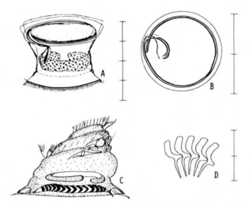 Figure 41