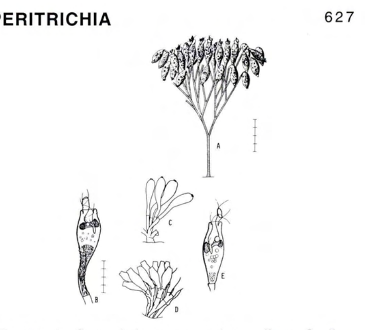 Figure 27