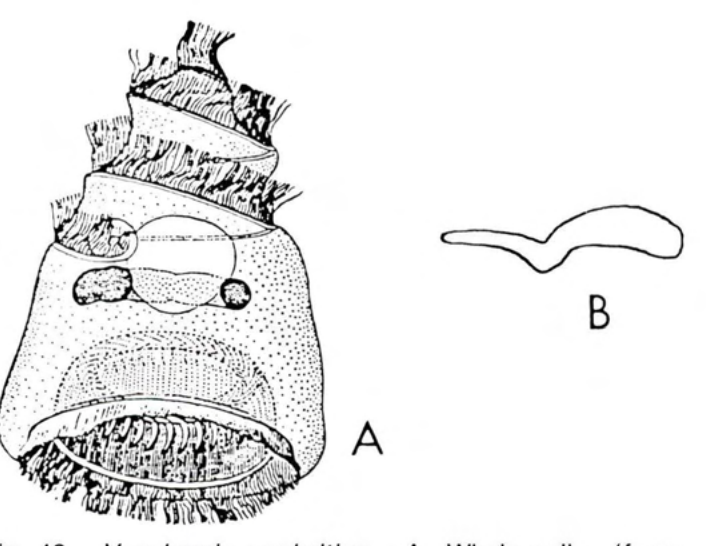 Figure 42