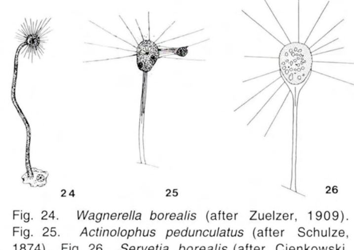 Figure 26