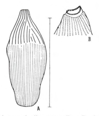 Figure 57