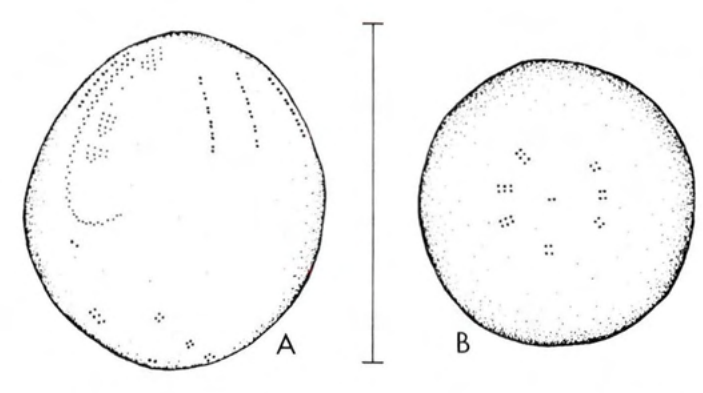 Figure 59