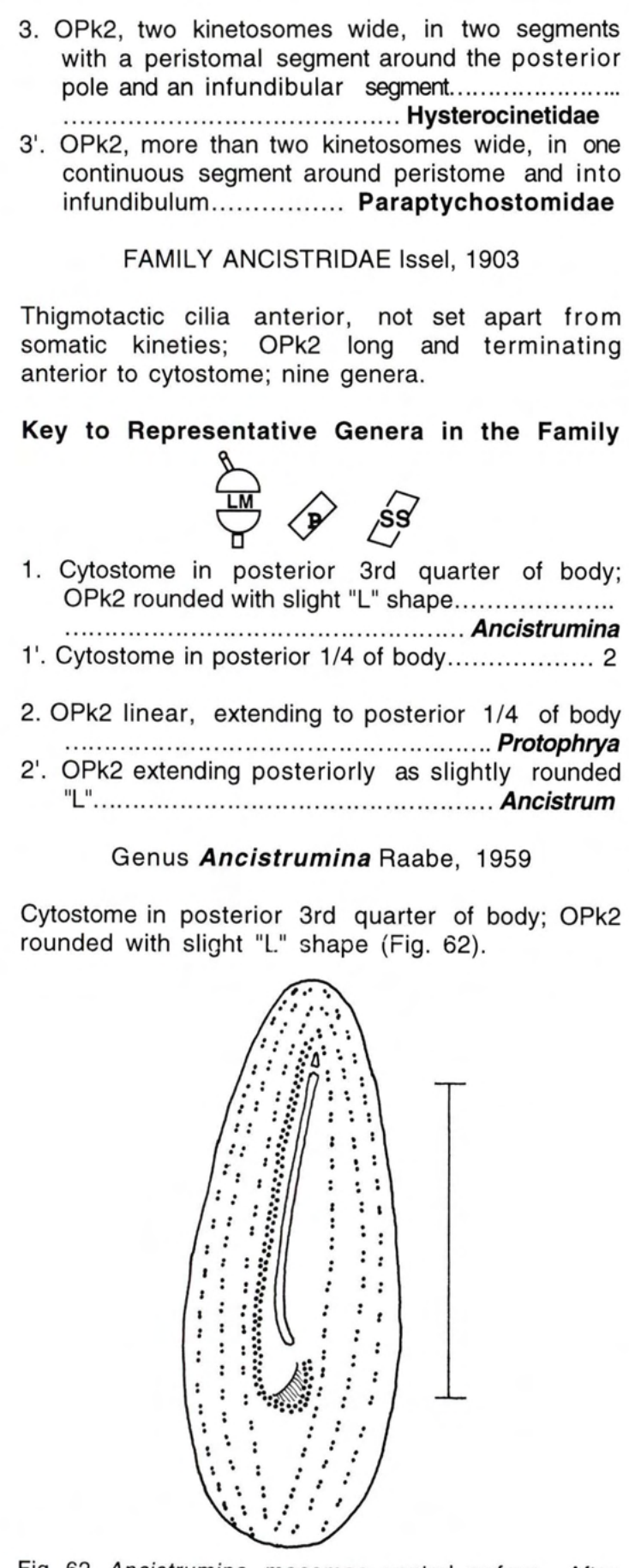 Figure 62