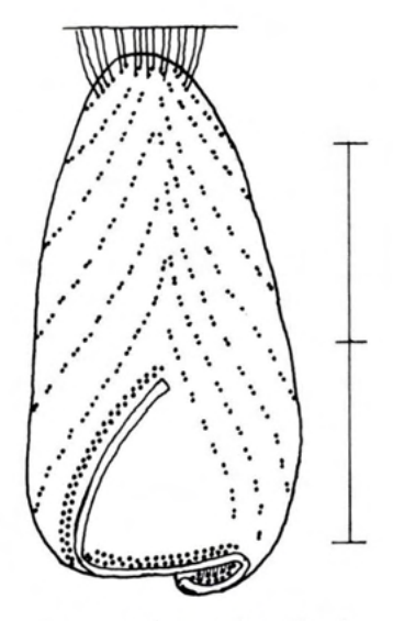 Figure 67
