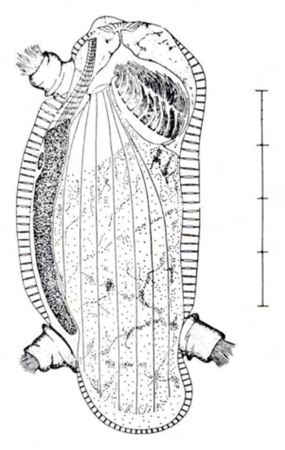 Figure 70