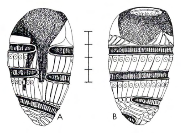 Figure 73