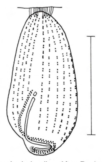 Figure 68