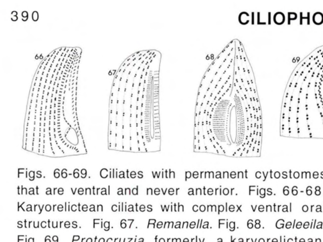Figure 69