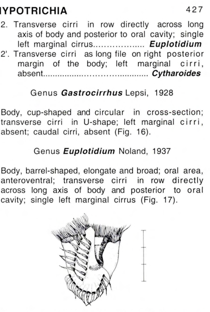Figure 16