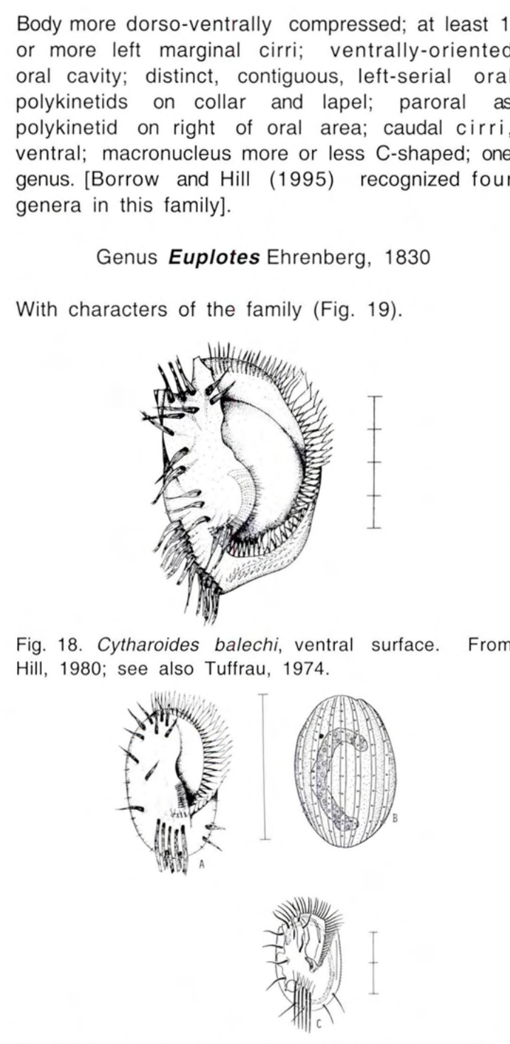 Figure 19