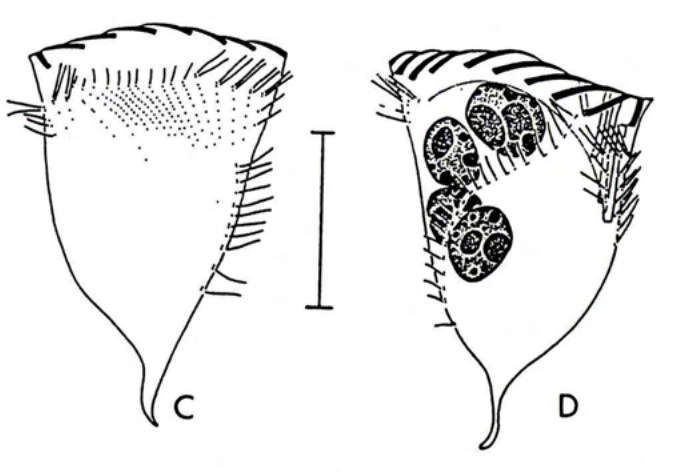 Figure 8