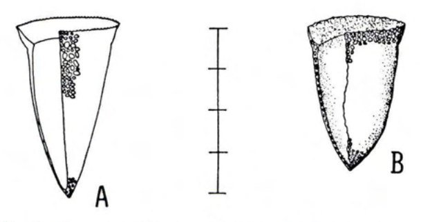 Figure 23