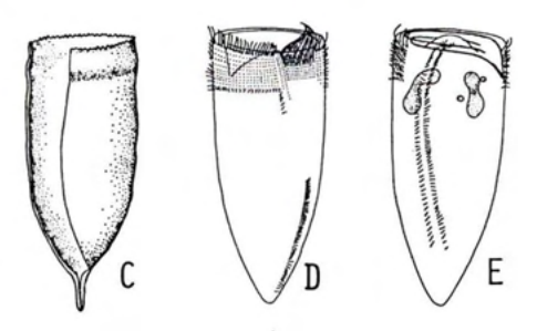 Figure 26