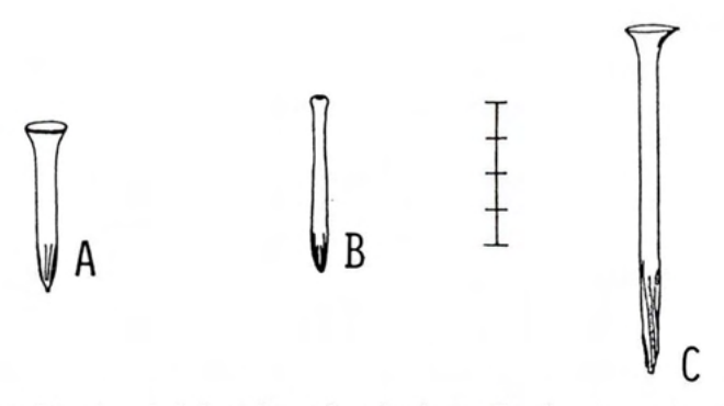 Figure 35