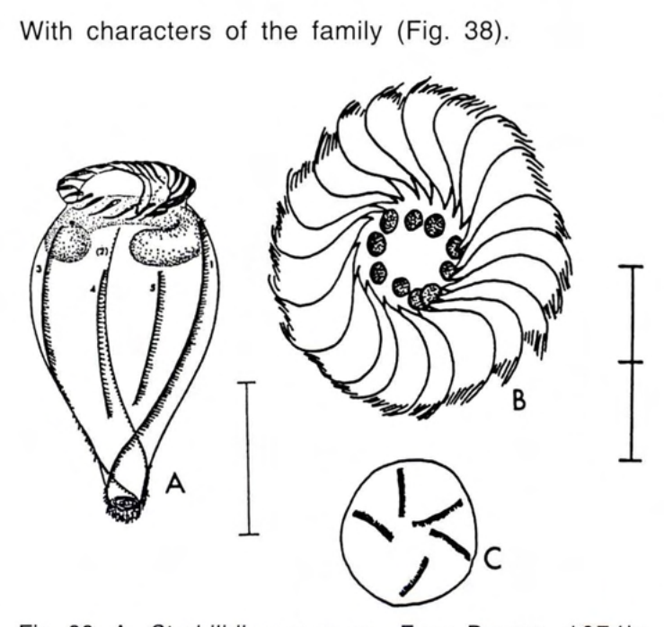 Figure 38