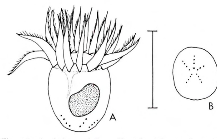 Figure 41