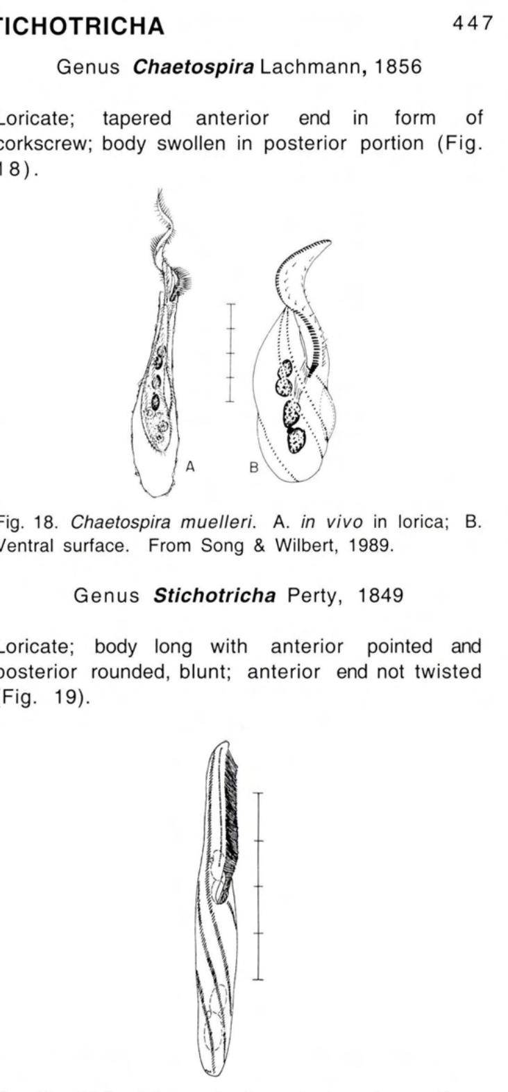 Figure 19