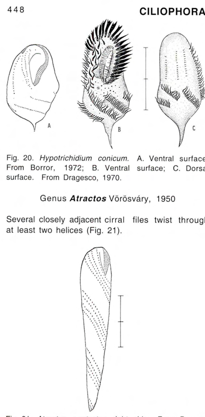 Figure 21