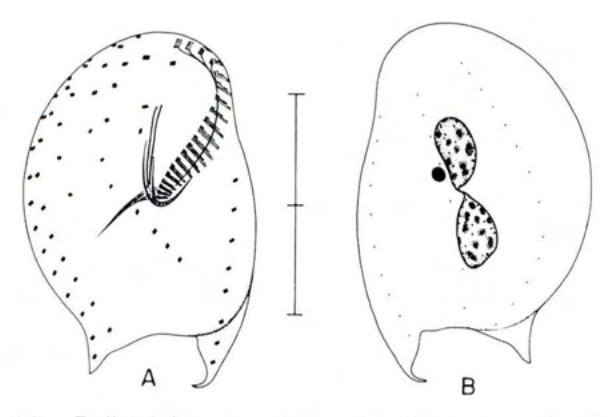 Figure 26