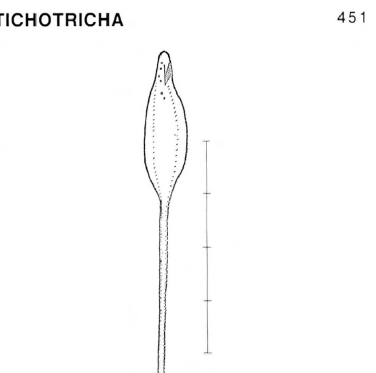Figure 31