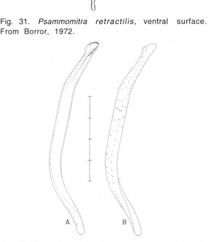 Figure 32