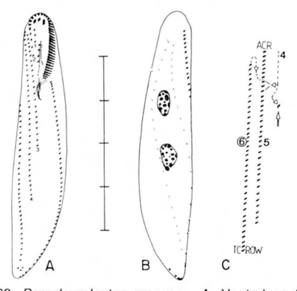 Figure 33
