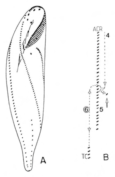 Figure 35