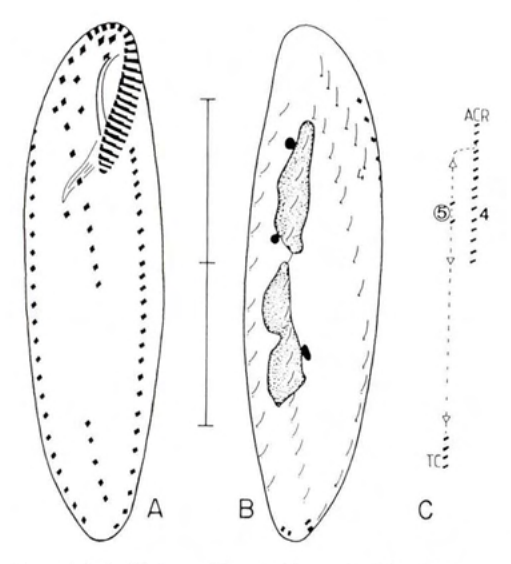 Figure 37
