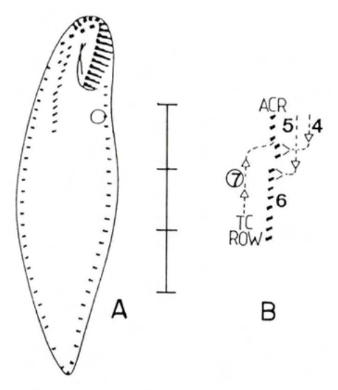 Figure 38