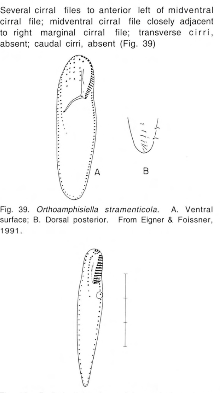 Figure 40