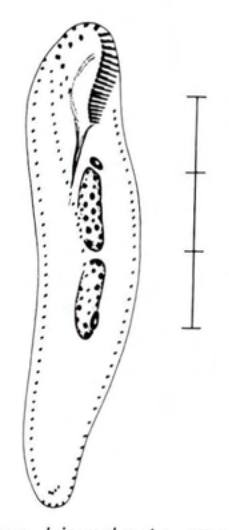 Figure 41