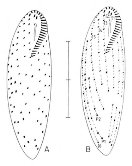 Figure 43