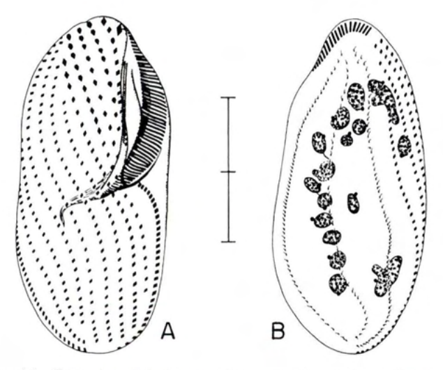 Figure 44