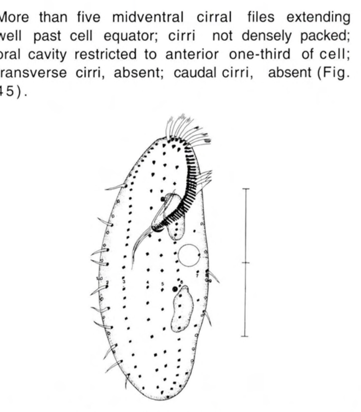 Figure 45