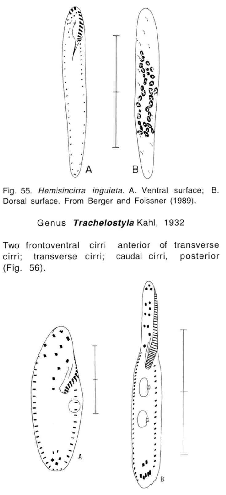 Figure 56